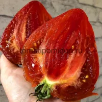 Купить семена Томат Черное Сердце От Борисовны
