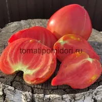 Купить семена Томат Японка