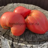 Купить семена Томат Японка