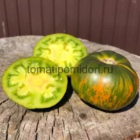 Купить семена Томат Ярсон 18/3 коллекционный