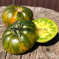 Купить семена Томат Ярсон 18/3 коллекционный