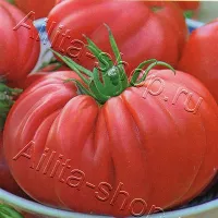 Купить семена томата Американский ребристый красный