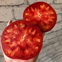 Купить семена томата Минусинская Германия коллекционный