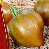Купить семена томата Звездный истребитель Сердце Марши