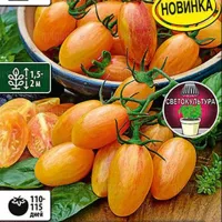 Купить семена Томат Стыдливый румянец