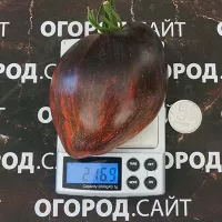 Купить семена Томата Тайна галактики коллекционный