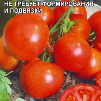 Купить семена томата Точка