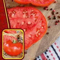 Купить семена Томат  Юсуповский