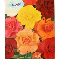 Купить Бегония клубневая махровая Лето в Петергофе смесь