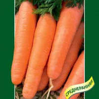 Купить семена Морковь Болеро