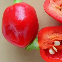 Купить Перец Хабанеро