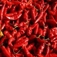 Купить семена Перца Кайенского от Аэлиты