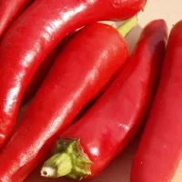 Купить семена Перца Кайенского от Аэлиты