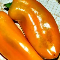 Купить Перец Оранжевая лакомка​