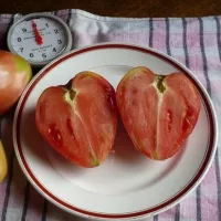 Купить Томат Батяня