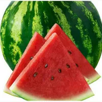 Арбуз продюсер