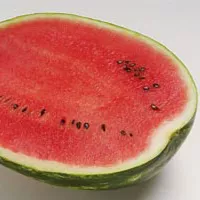 Купить Арбуз Топ Ган