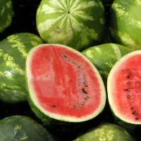 Купить Арбуз Топ Ган