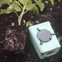 Купить Горшки для рассады 0,2 л квадро