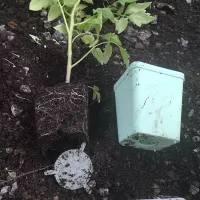 Купить Горшки для рассады 0,2 л квадро