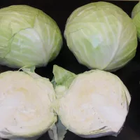 Капуста надежда