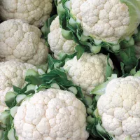 Капуста цветная коза дереза