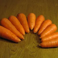 Морковь абако