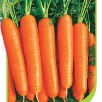 Купить семена Морковь Дордонь в пакетах