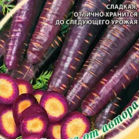 Купить семена Морковь Королева Фиолетовая