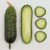 Купить Огурец Директор F1