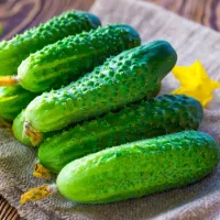Купить огурец Гирлянда