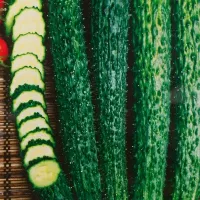 Купить Огурец Изумрудный поток F1