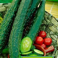 Купить Огурец Китайские палочки