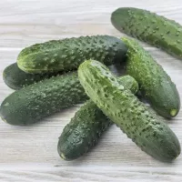 Купить Огурец Мадрилене F1