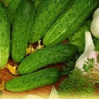 Купить Огурец Засолочный