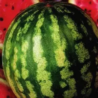 Купить  Арбуз Медовый