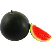 Купить  Арбуз Огонек