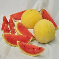 Купить  Арбуз Подарок солнца