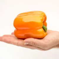 Купить Перец Аллар