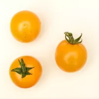 Купить Томат черри Краски