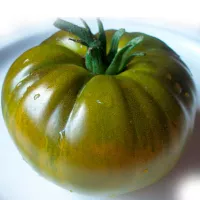 Купить семена томат Зеленая тайна личинки