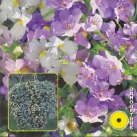 Купить Бакопа Утопия