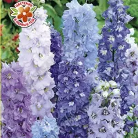 Купить Дельфиниум Магический фонтан смесь окрасок