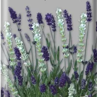 Купить Лаванда Тристан и Изольда узколистная