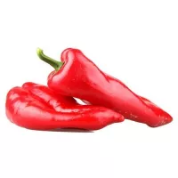 Купить Перец Рамиро