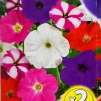 Купить Петуния Ампельная смесь окрасок