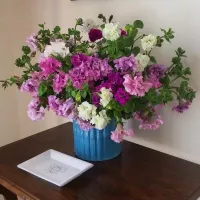 Купить Петуния Букетная F1 крупноцветковая махровая