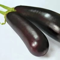 Купить Баклажан Алексеевский