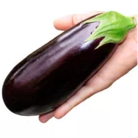 Купить Баклажан Фиолетовое чудо