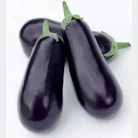 Купить Баклажан Рома